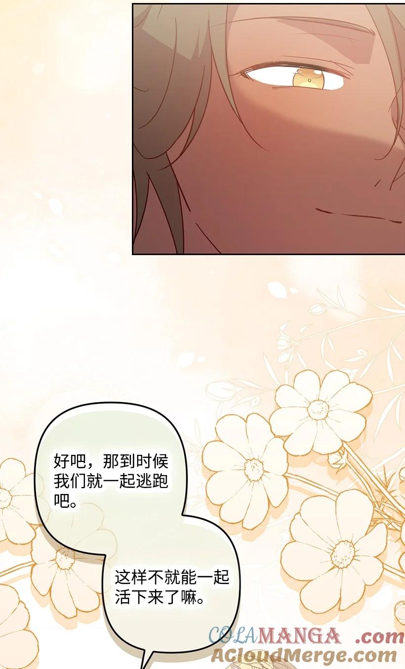 《王的贡女》番外38 宴会开始 第54页