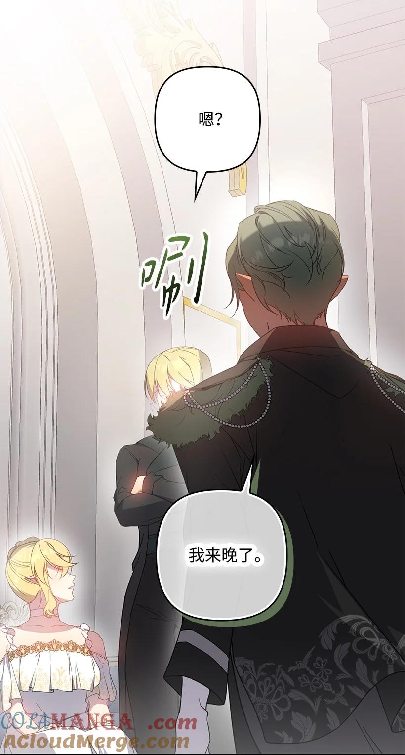 《王的贡女》番外38 宴会开始 第27页