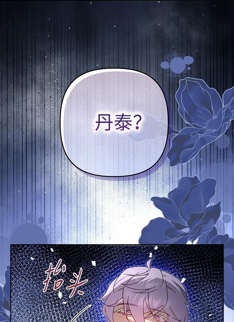《王的贡女》番外42 真的是他 第57页
