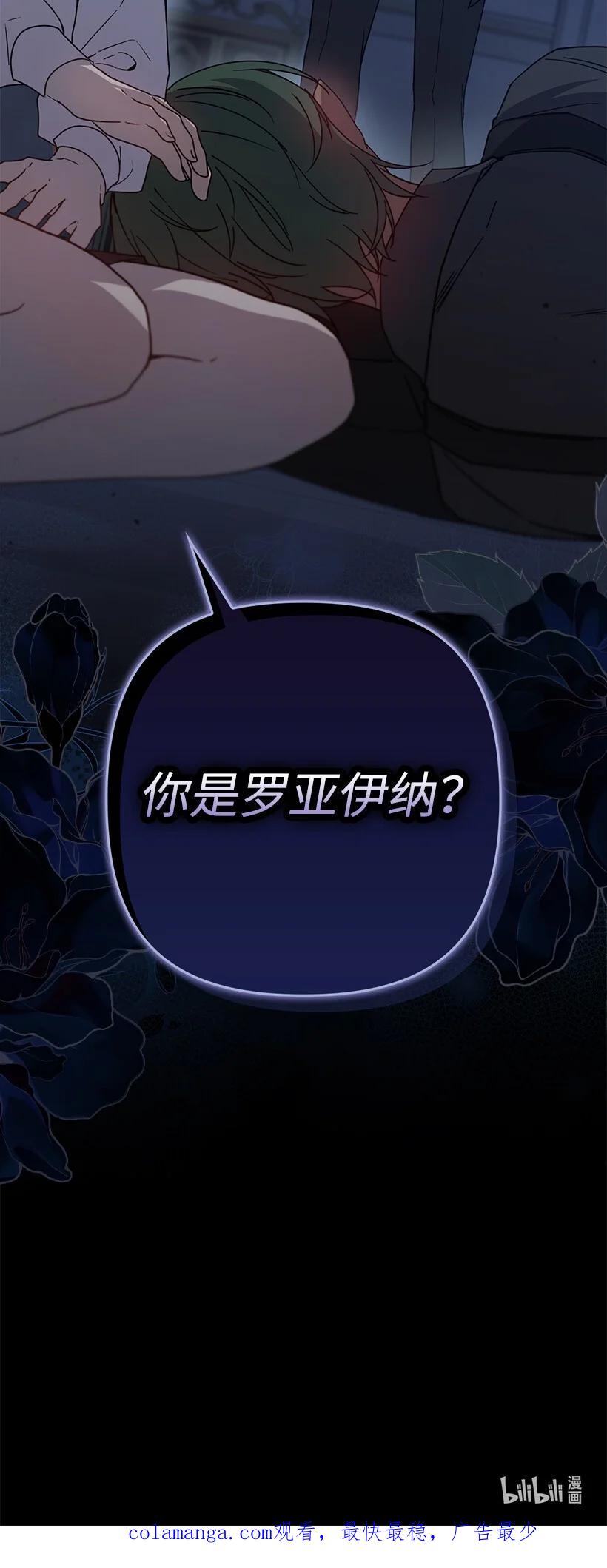 《王的贡女》番外42 真的是他 第75页