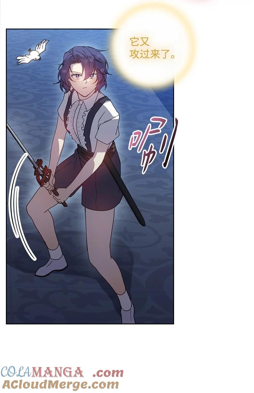 《王的贡女》番外43 只是一个虚像 第46页