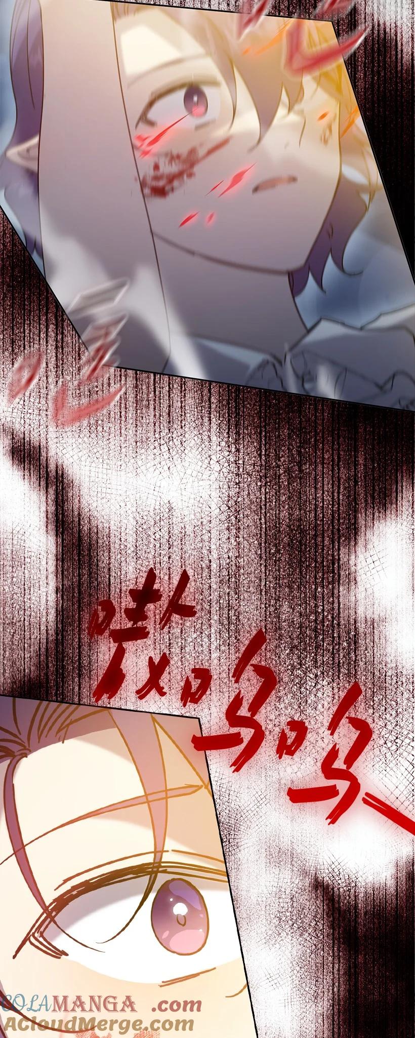 《王的贡女》番外43 只是一个虚像 第67页
