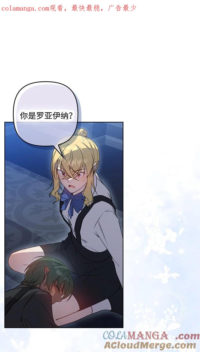 《王的贡女》番外43 只是一个虚像 第1页