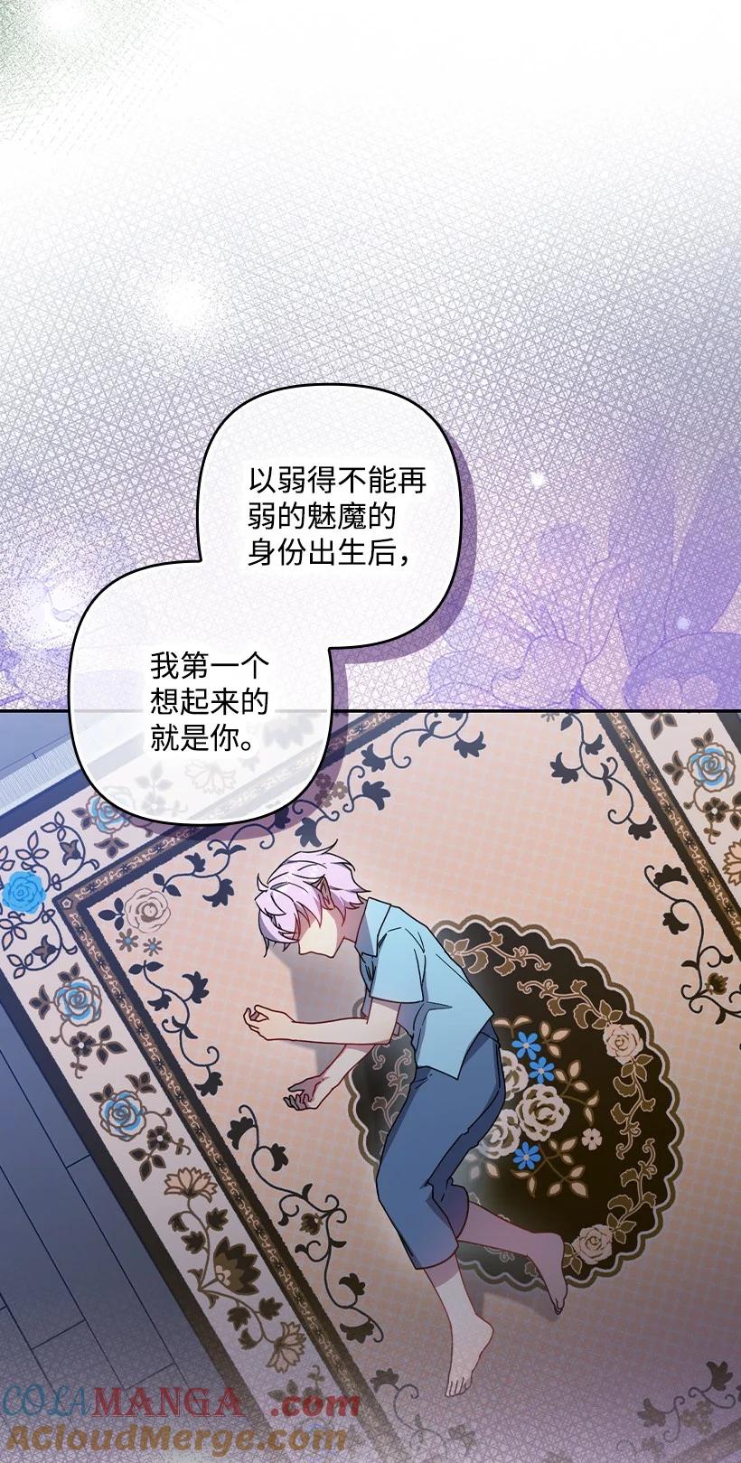 《王的贡女》番外43 只是一个虚像 第28页