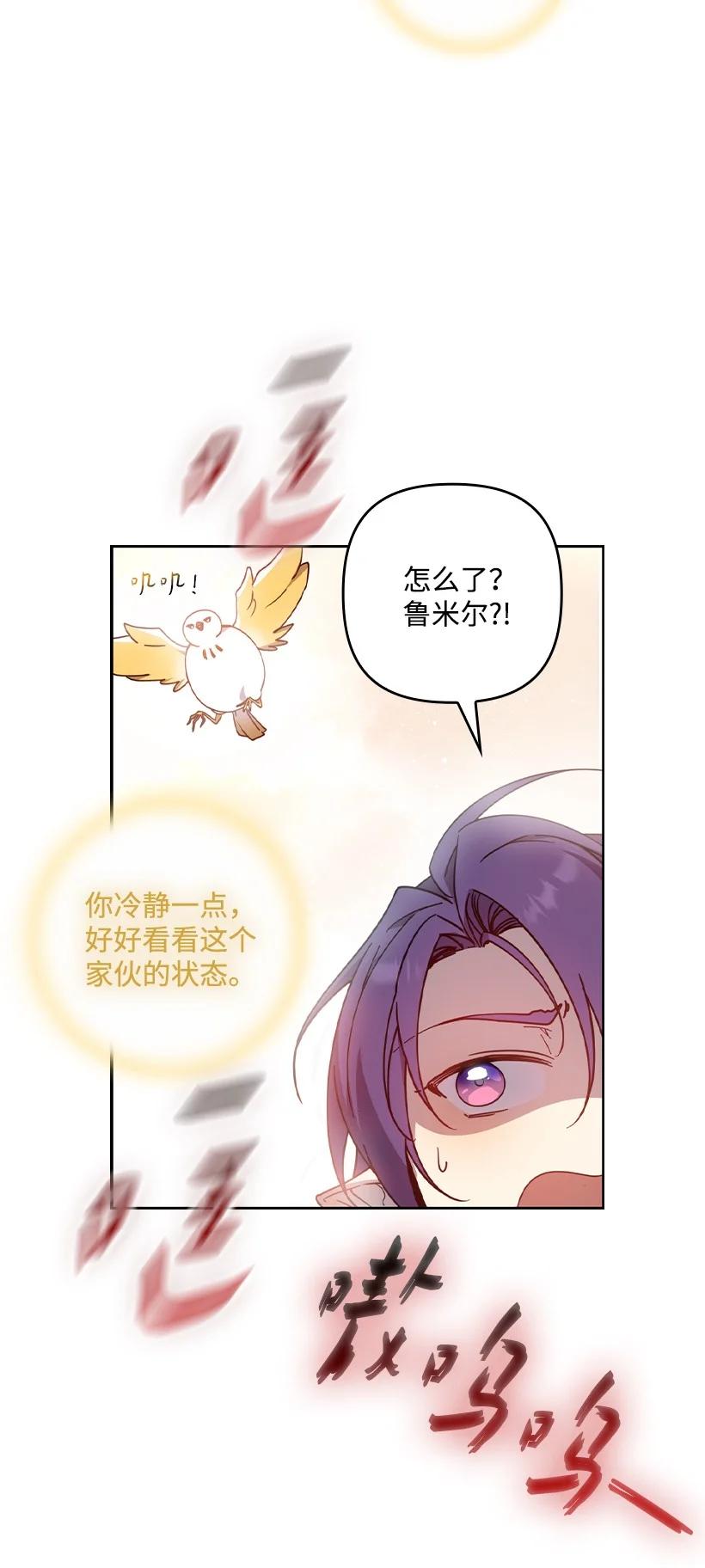 《王的贡女》番外43 只是一个虚像 第62页