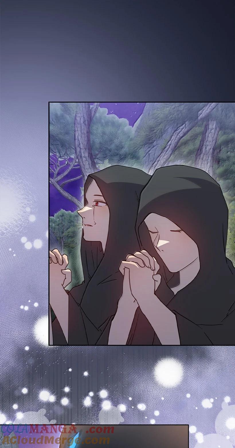 《王的贡女》番外44 我和你约定 第39页