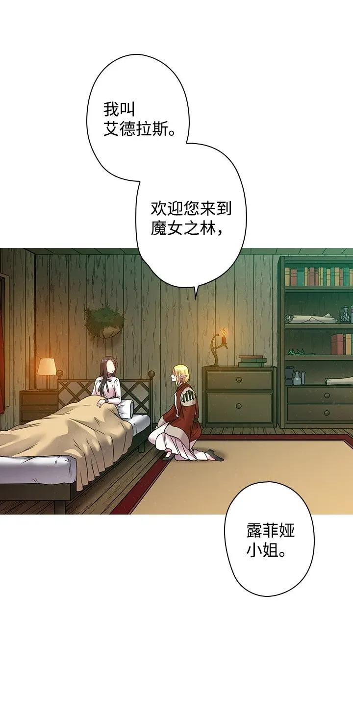 《王的贡女》38 斯卡法尔塔城 第58页