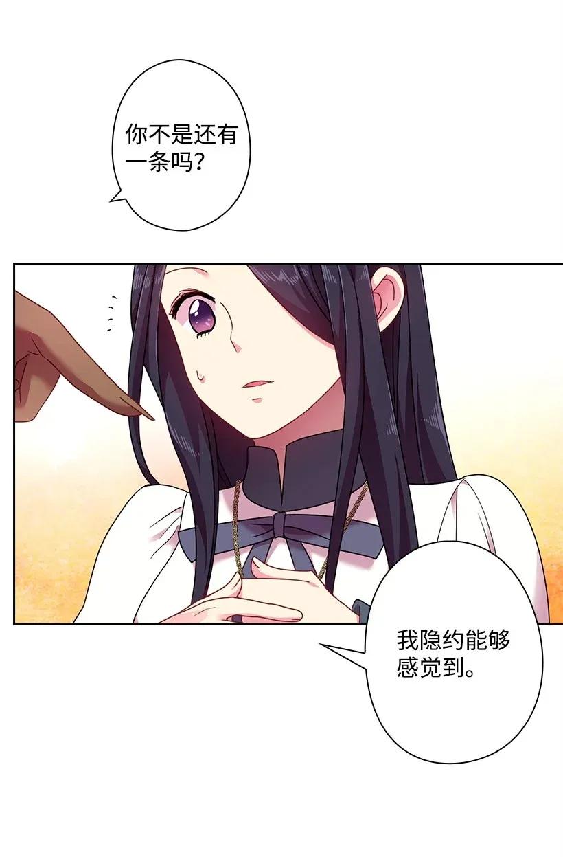 《王的贡女》42 想要和精灵签订契约 第25页