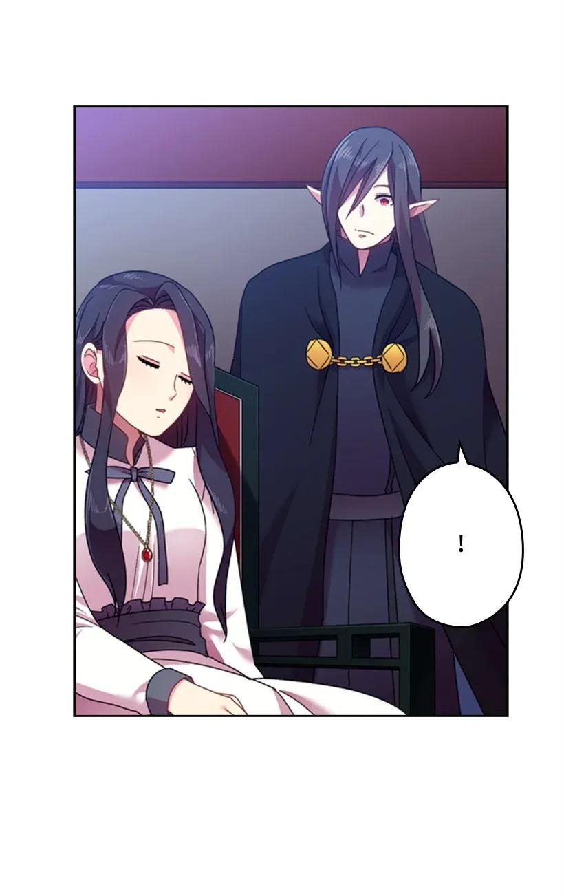 《王的贡女》42 想要和精灵签订契约 第41页
