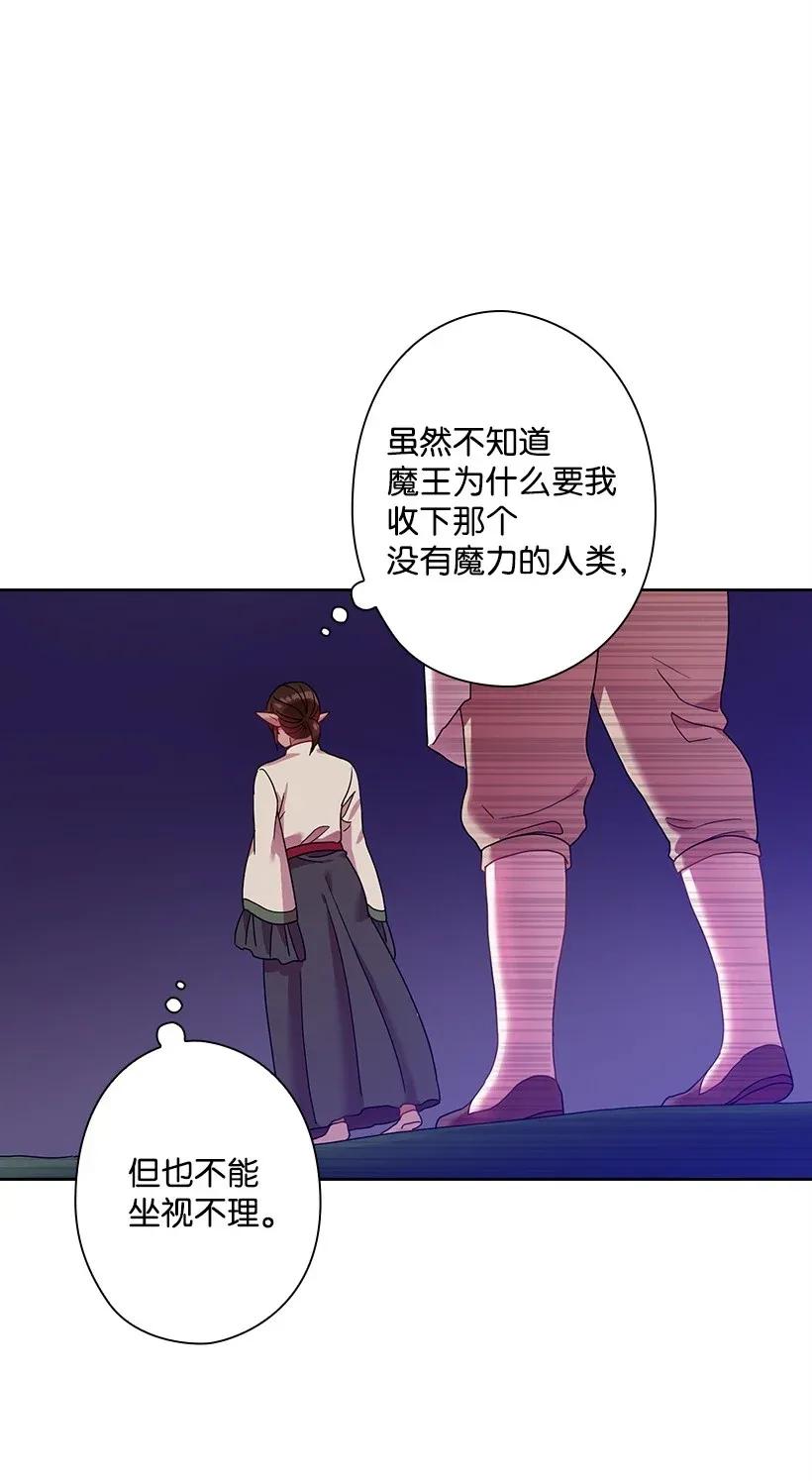 《王的贡女》46 唯一的光 第61页