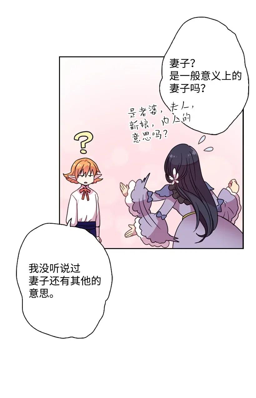 《王的贡女》5 神谕 第5页