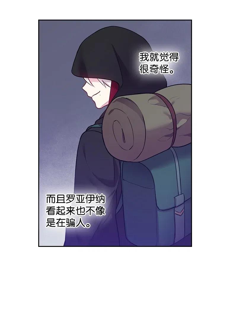《王的贡女》71 曾经的天使 第57页