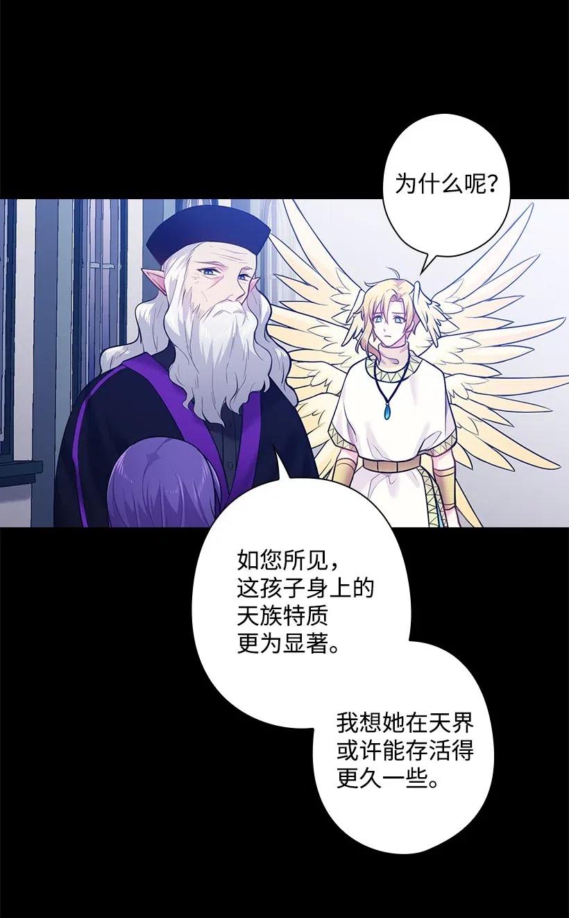 《王的贡女》71 曾经的天使 第20页