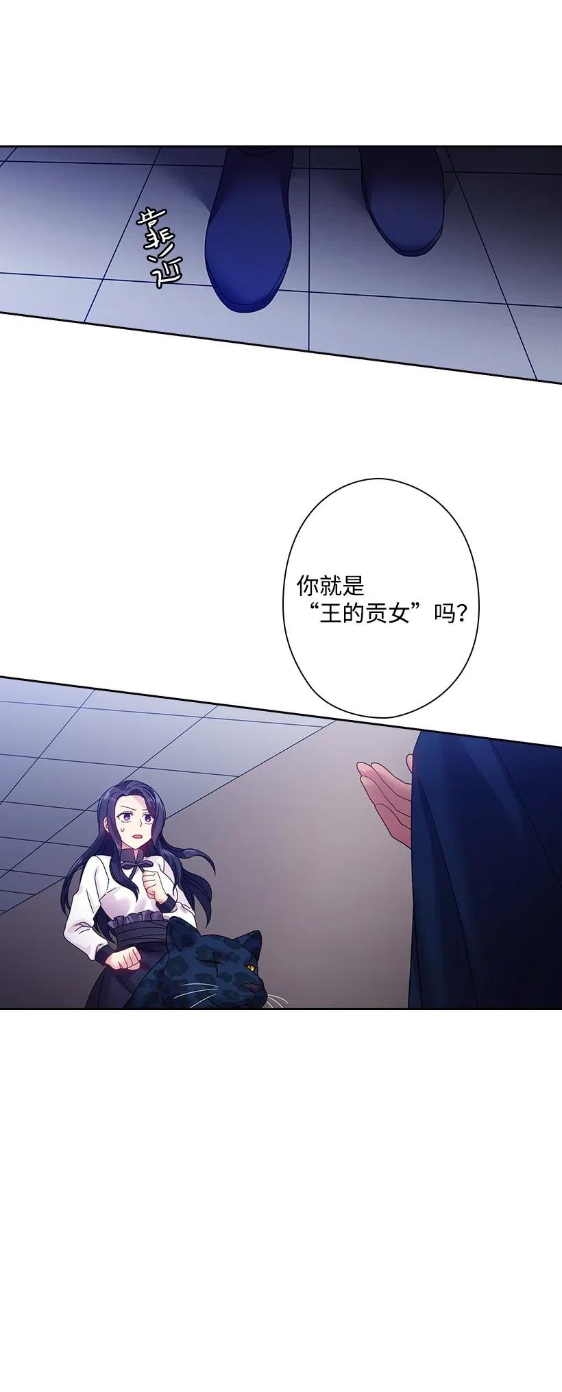 《王的贡女》84 开战 第51页