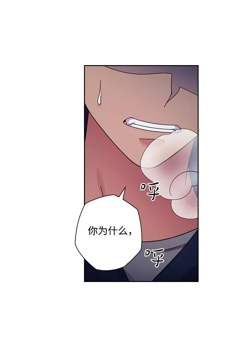 《王的贡女》86 套话 第43页