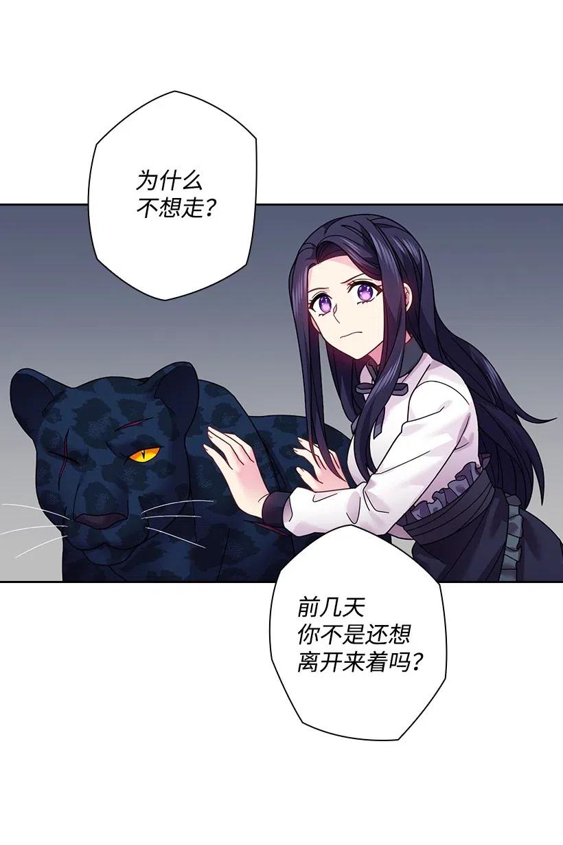 《王的贡女》86 套话 第44页