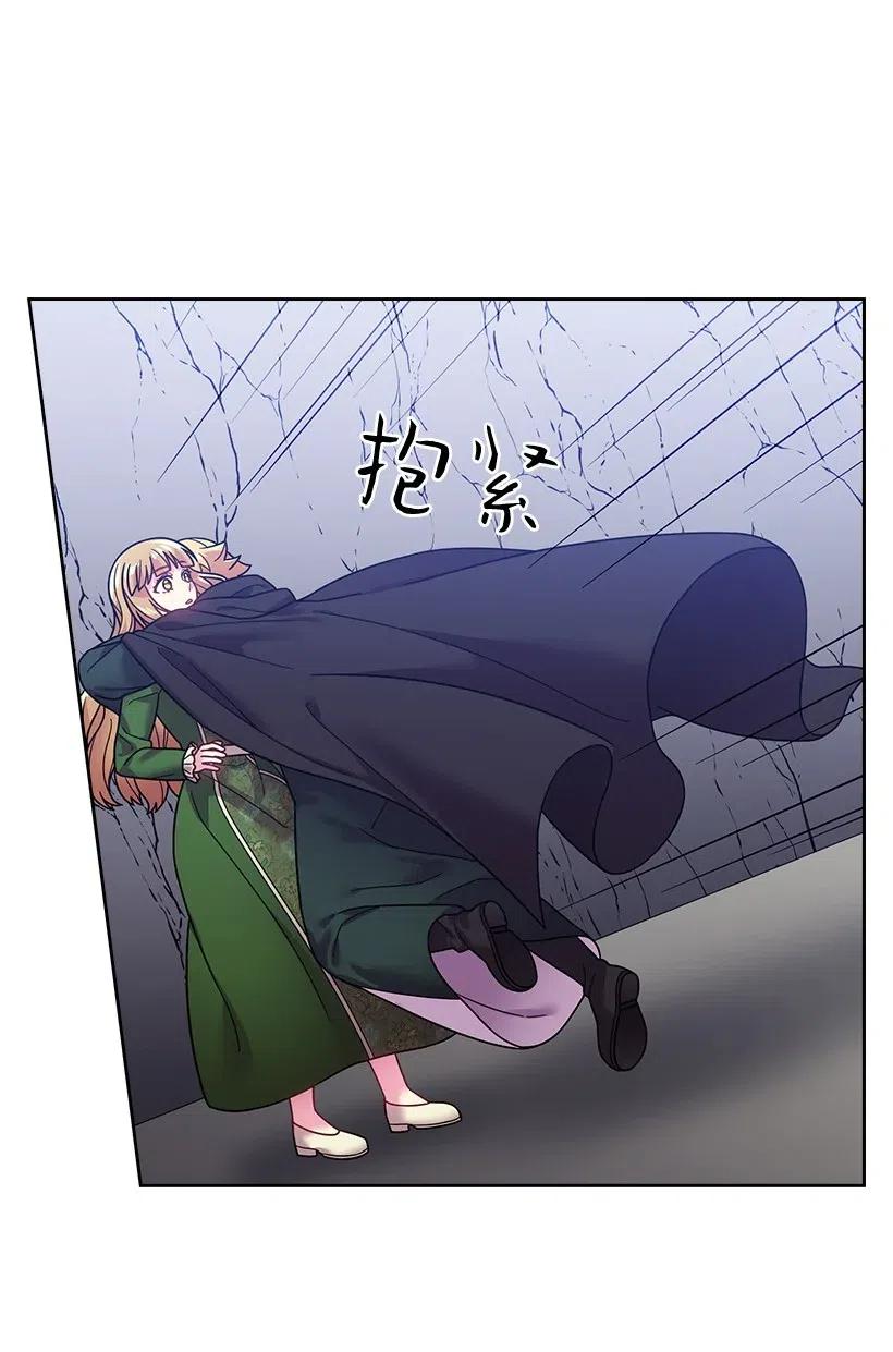 《王的贡女》93 姐弟重逢 第48页