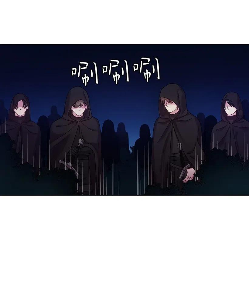 《王的贡女》97 皇太子遇袭 第31页