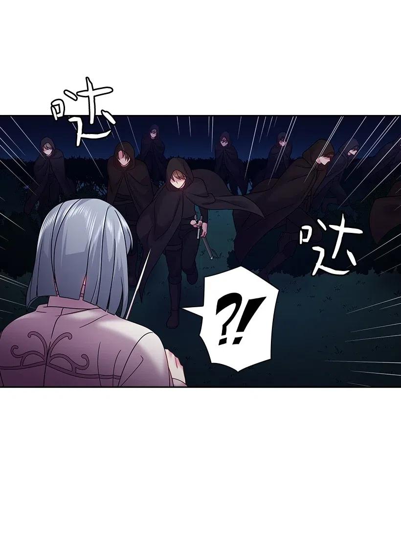 《王的贡女》97 皇太子遇袭 第45页