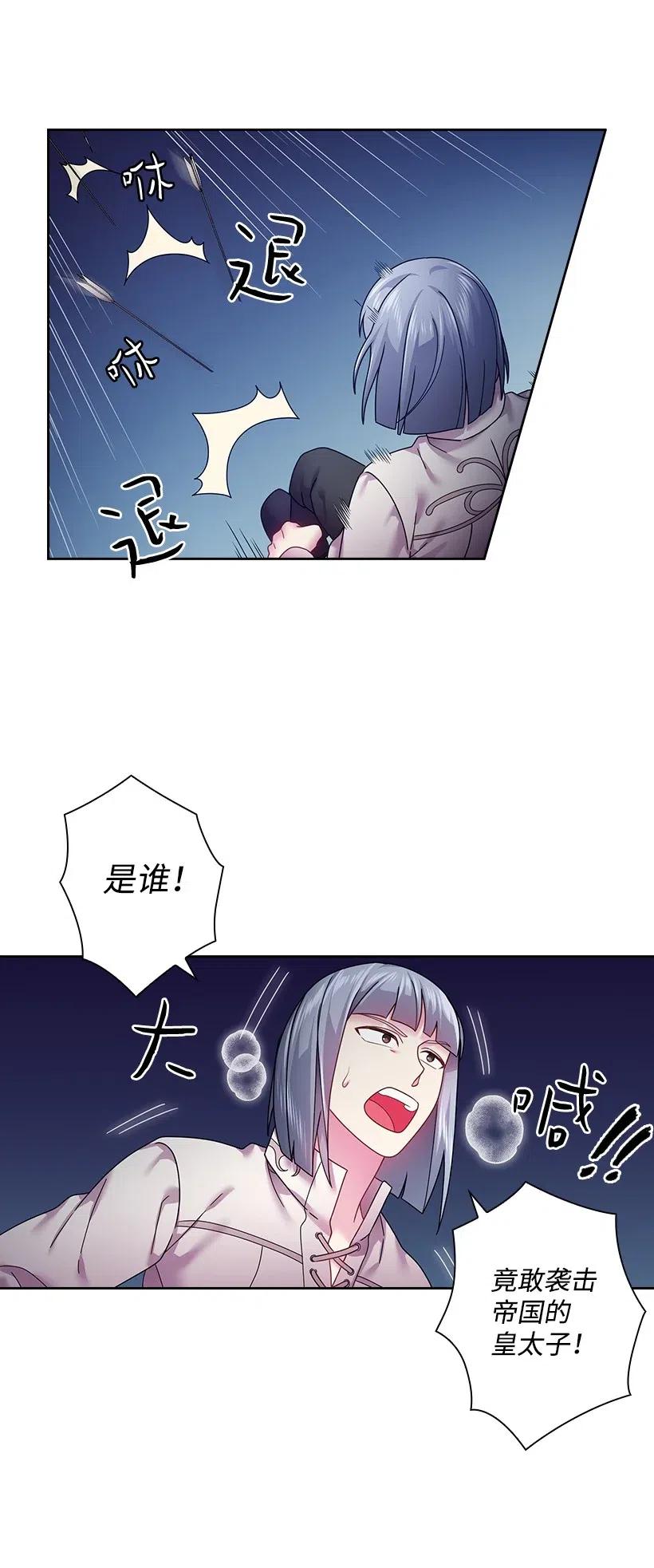《王的贡女》97 皇太子遇袭 第30页