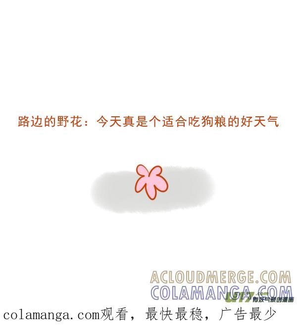 《全世界都在谈恋爱》黑孔雀 第6页