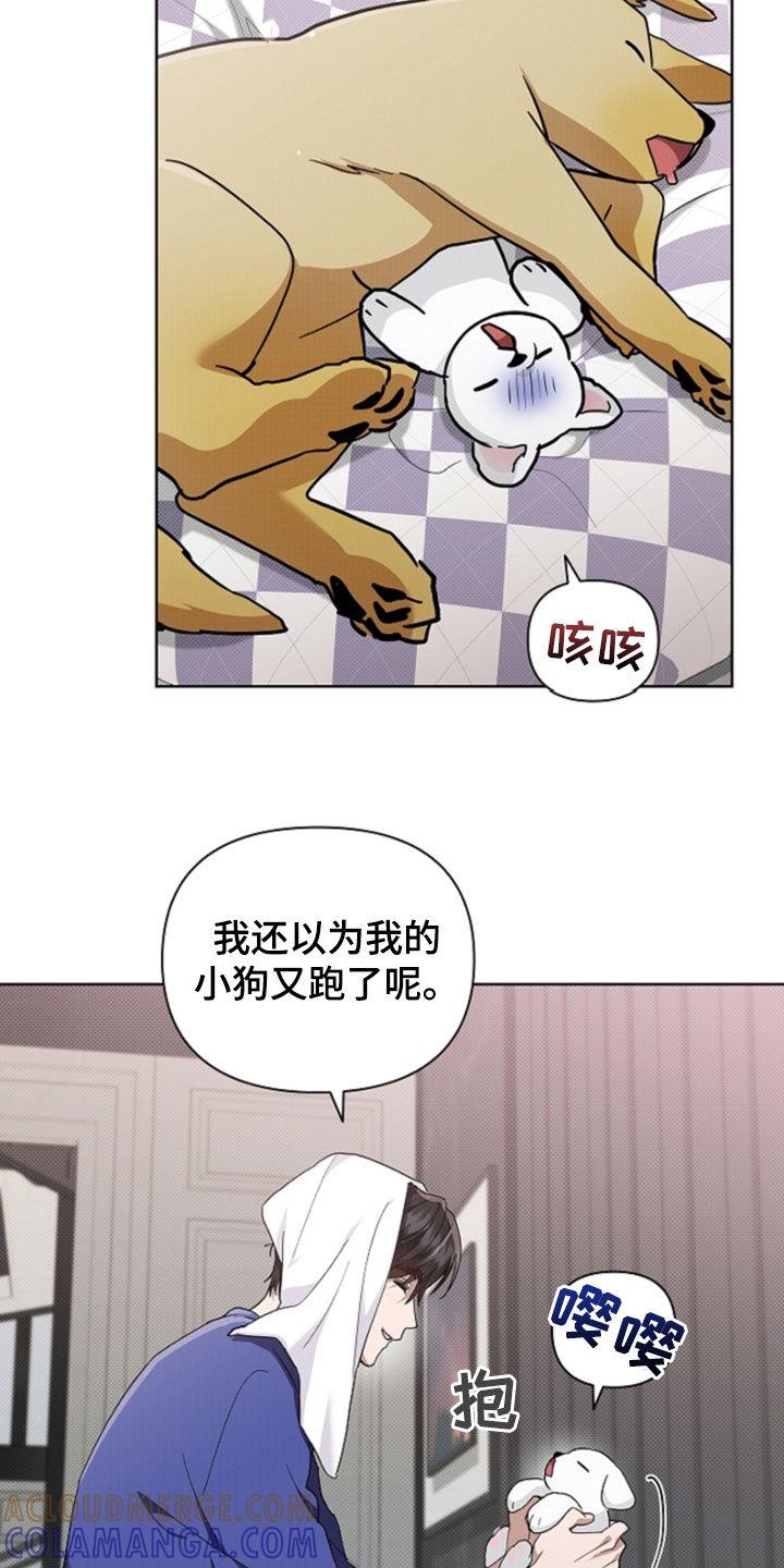 17.jpg