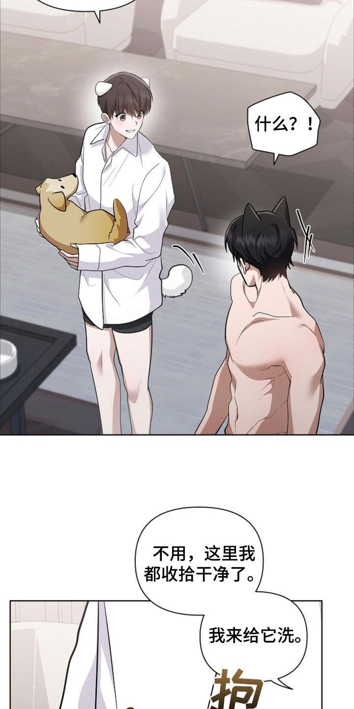 16.jpg