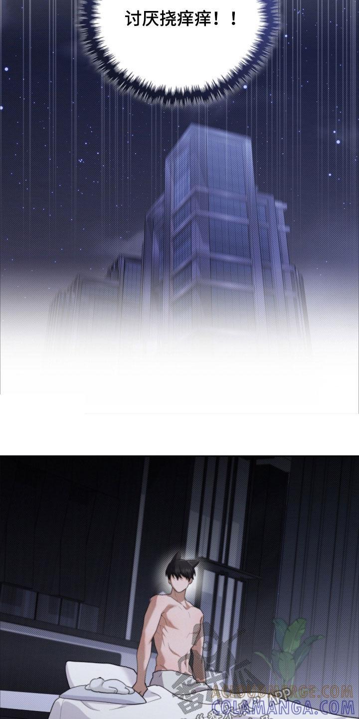 29.jpg