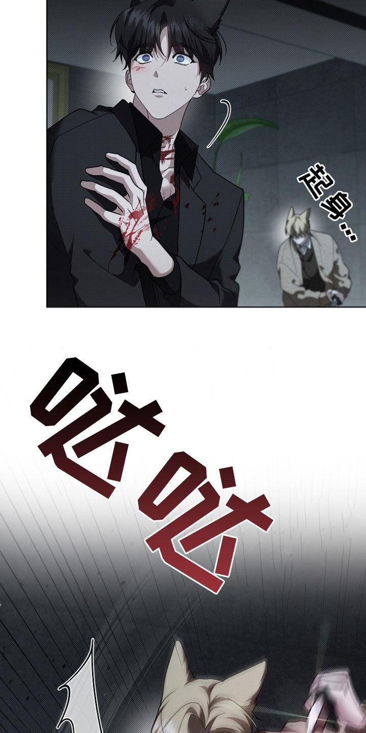 22.jpg