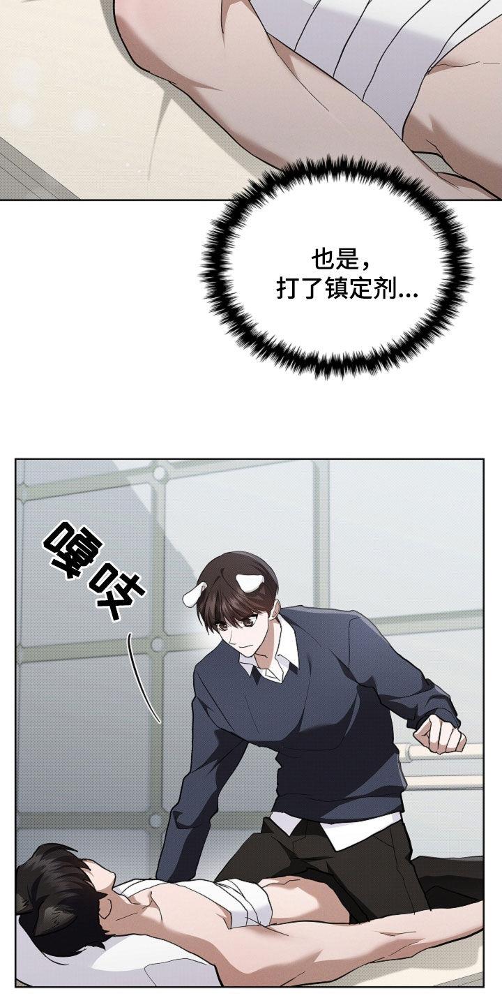 14.jpg