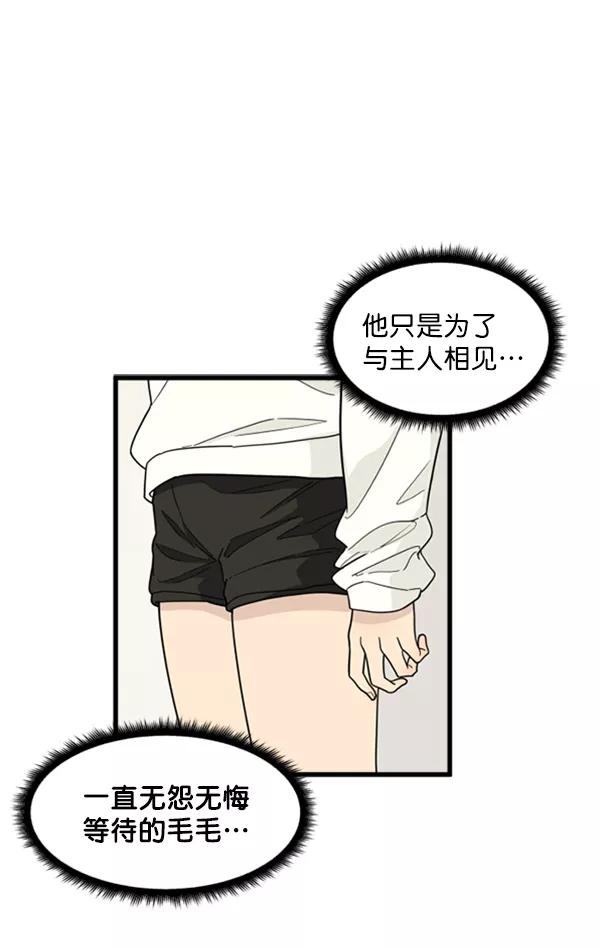 《主人，是我！》[第36话] 不要变回狗（2_2） 第48页