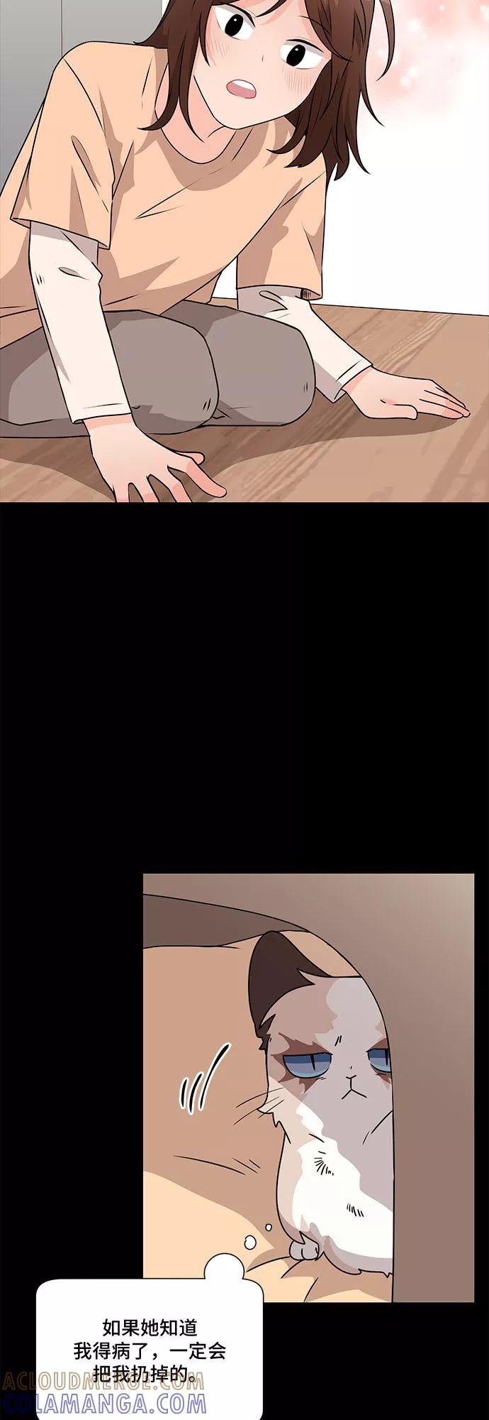 《今天也汪汪》第53话 第34页
