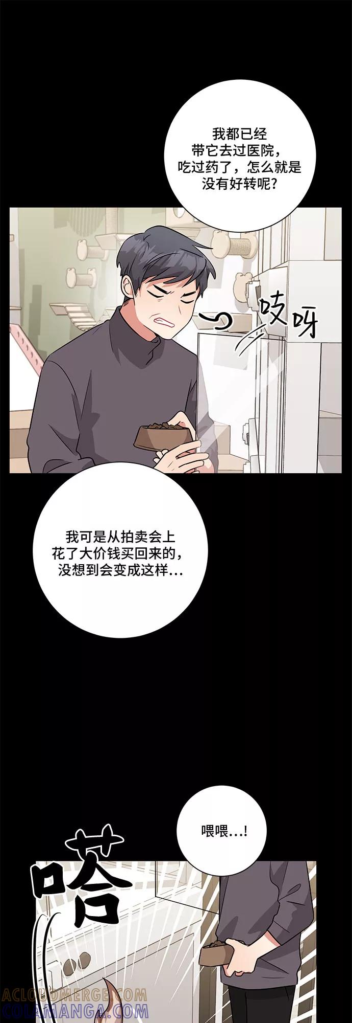 《今天也汪汪》第53话 第25页