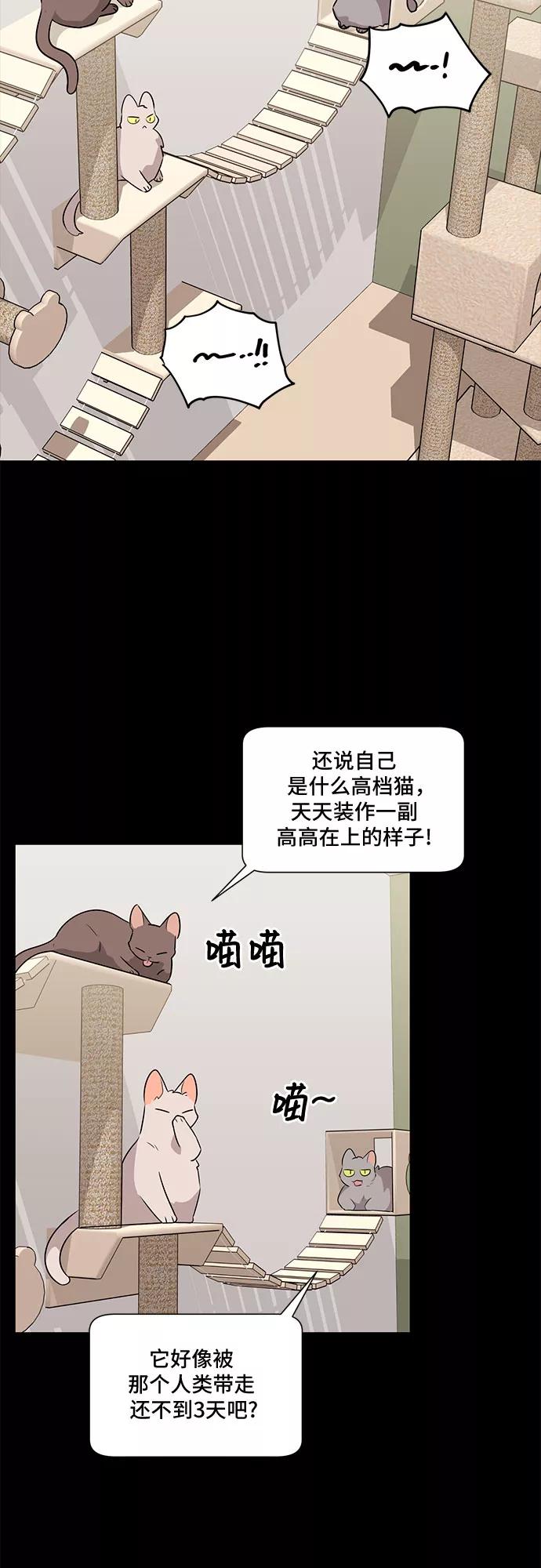 《今天也汪汪》第53话 第17页