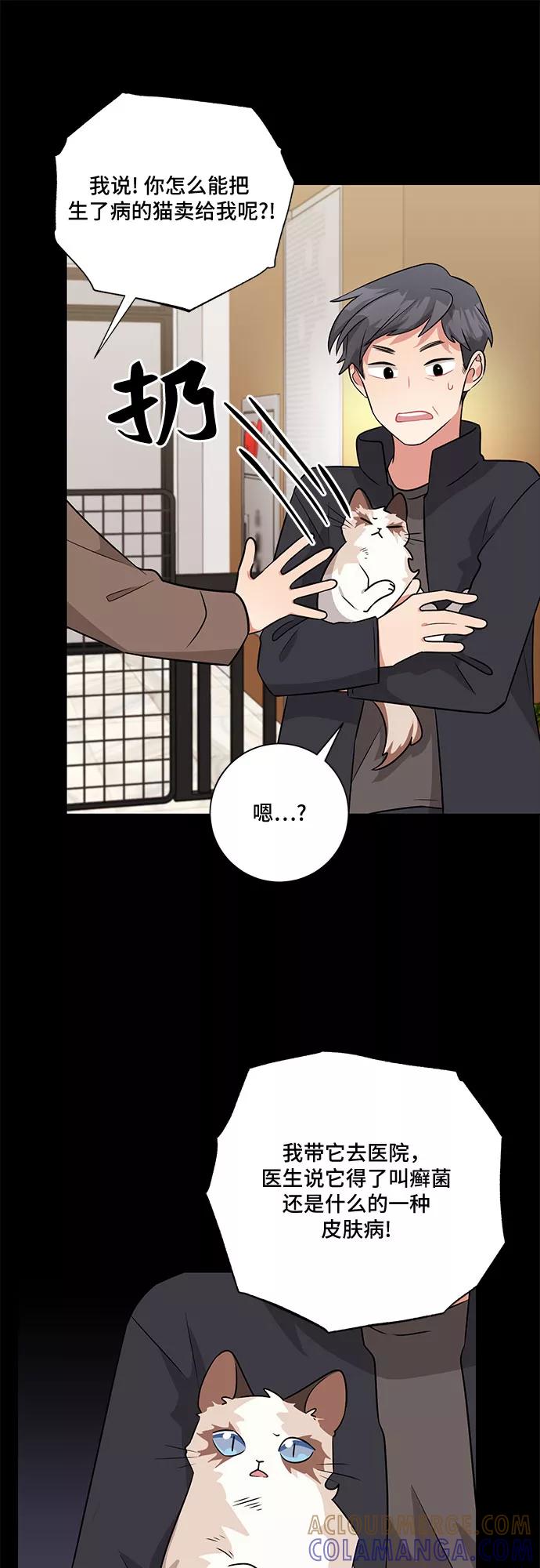 《今天也汪汪》第53话 第13页