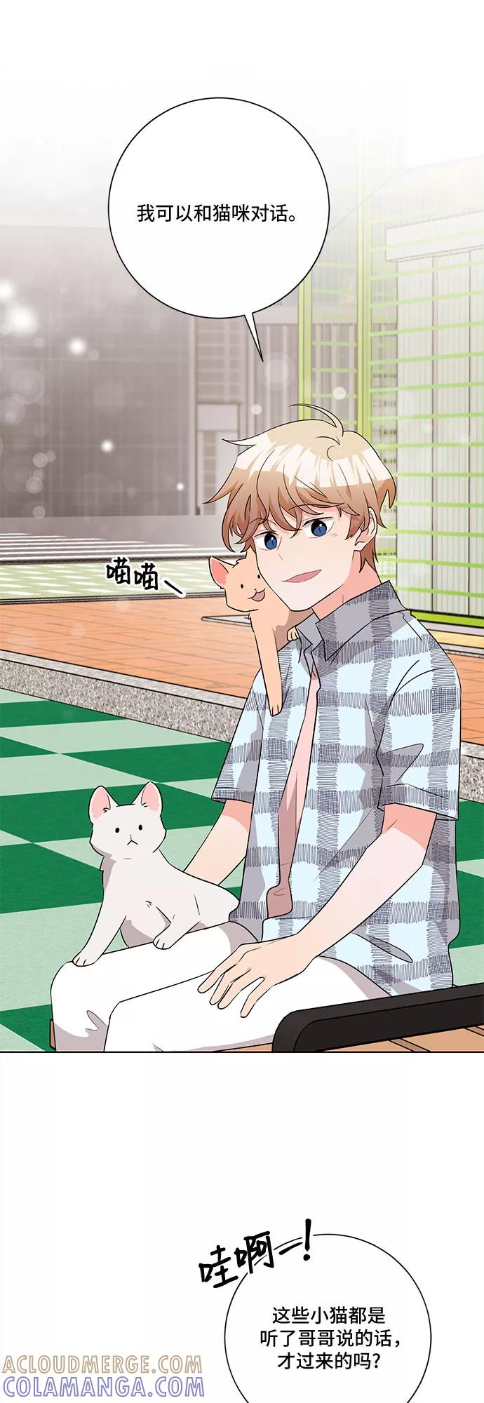 《今天也汪汪》第55话 第37页