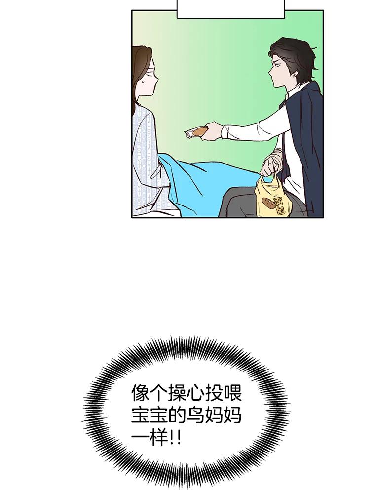 《网络小说出逃记》9.雅涵出院 第5页