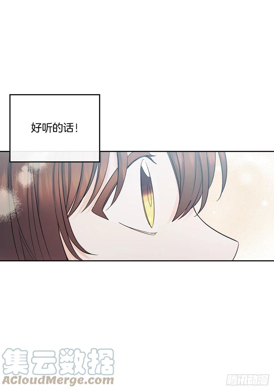 网络小说的法则 113.重新尝试 第13页