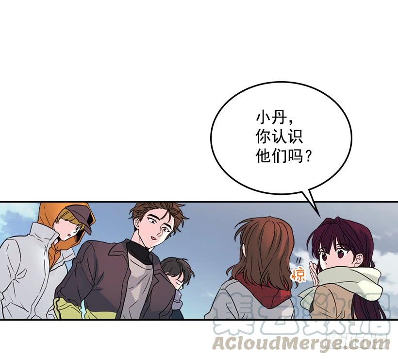 网络小说的法则 13.谁敢欺负我的小丹！ 第6页
