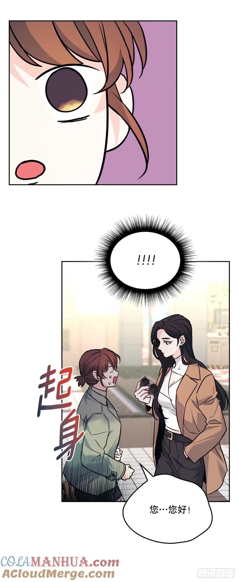 网络小说的法则 174.知情者 第31页