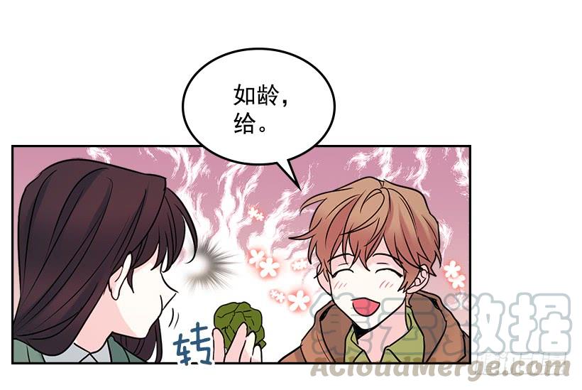 网络小说的法则 27.从天而降的人 第46页