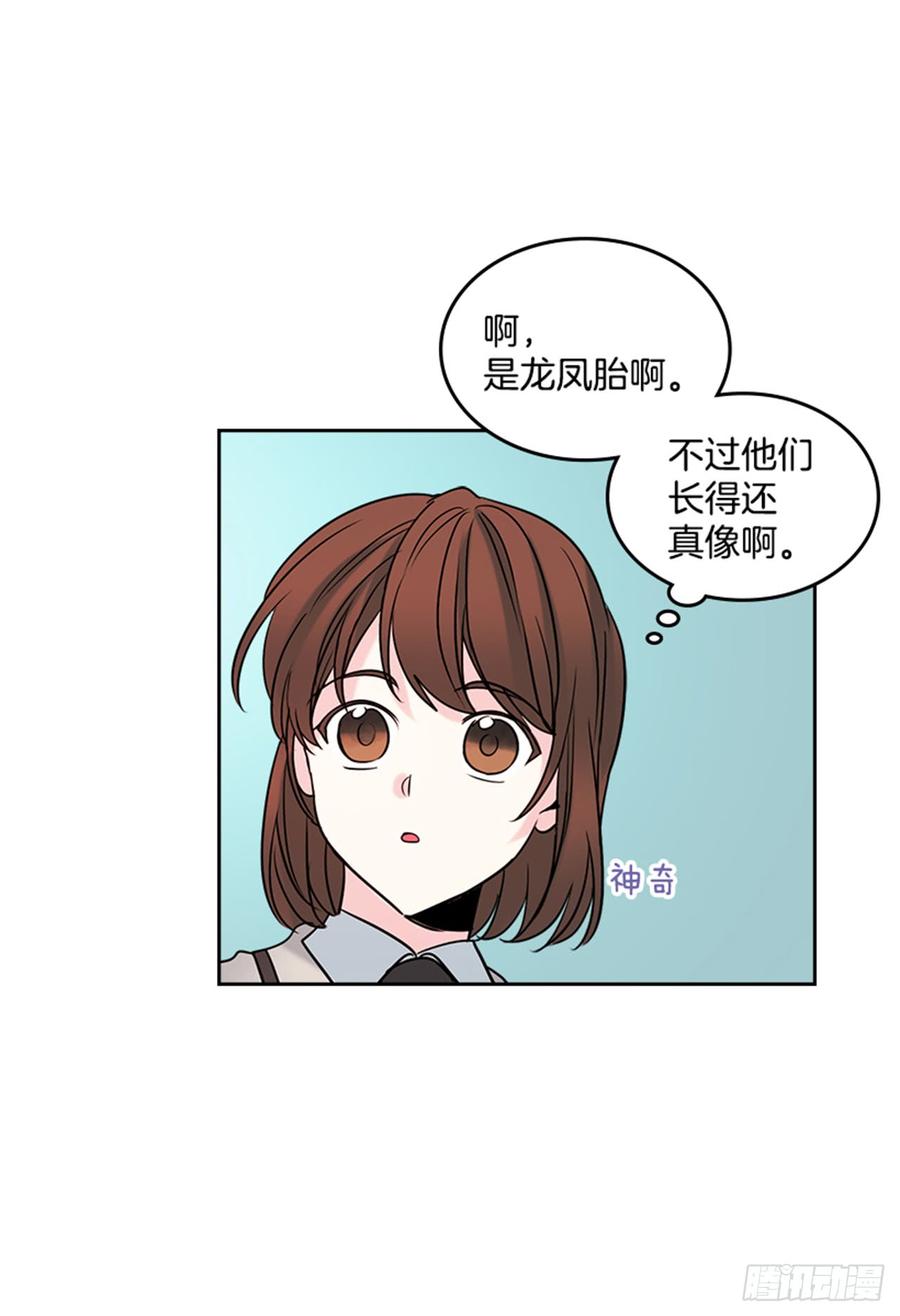 网络小说的法则 32.郁闷 第24页