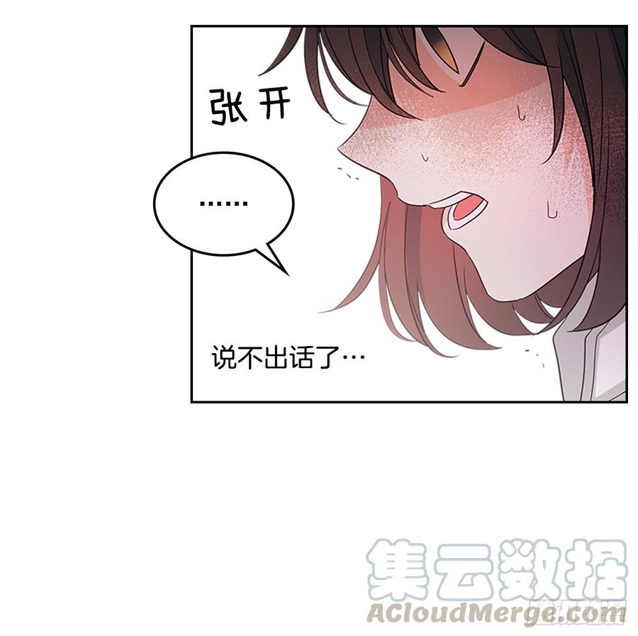 网络小说的法则 50.第二季开篇 第11页