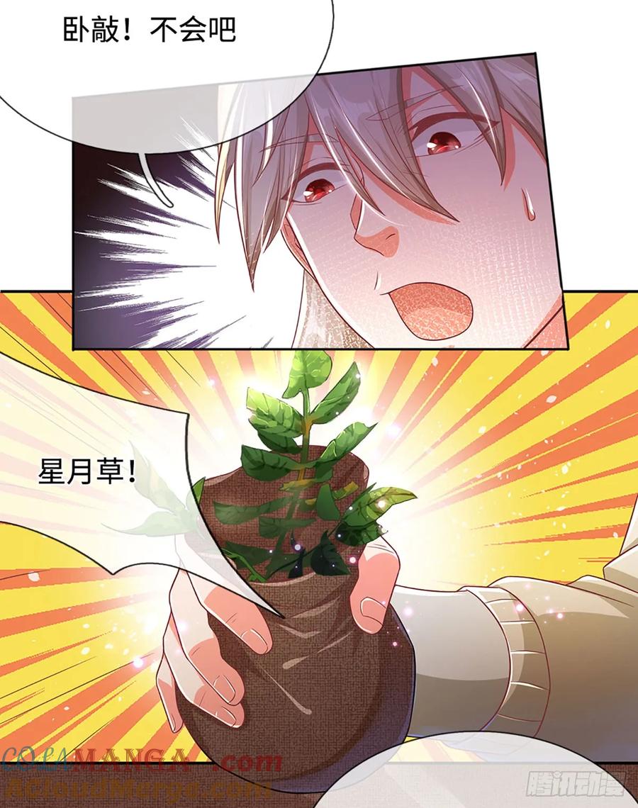 《氪丹修仙只苟长生》第17话 天才更要努力才行 第15页