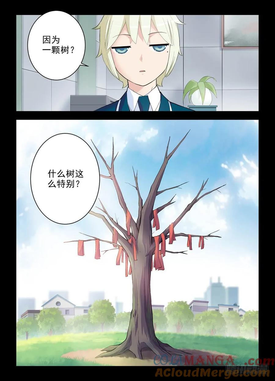 王牌御史 第267话 263，那绝逼不是相思树 第11页