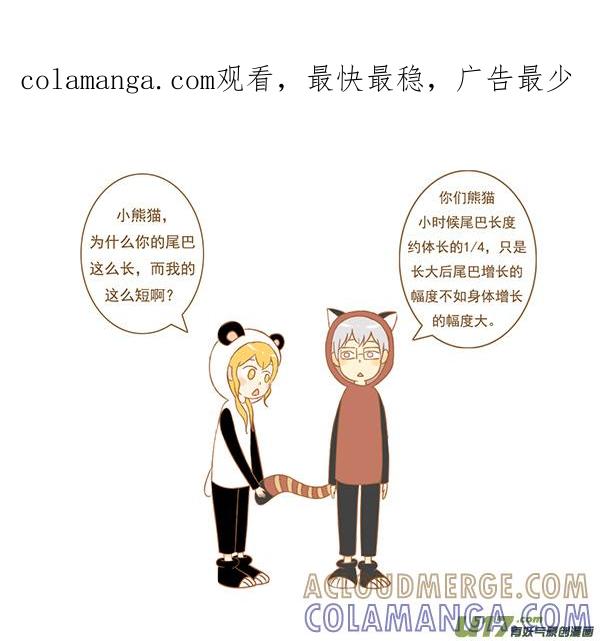 《全世界都在谈恋爱》小熊猫 第1页