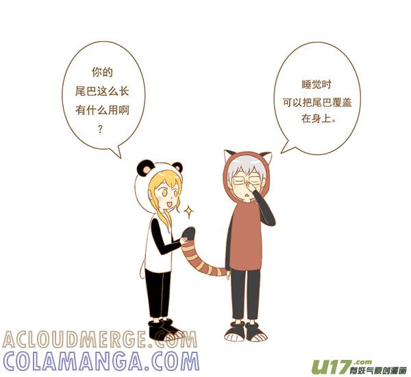 《全世界都在谈恋爱》小熊猫 第2页