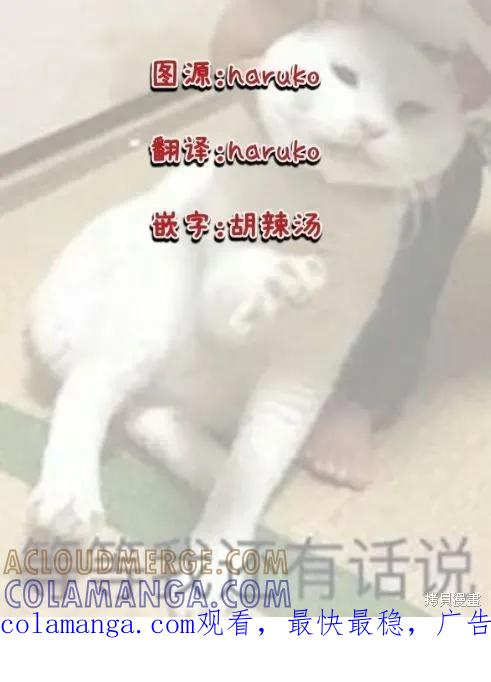 《王太子大人，这次我绝不想被你杀掉！》第09话 第13页