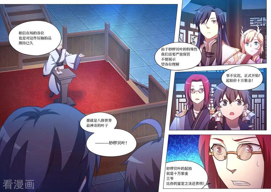 万古剑神 第九十四剑 最后的拍卖 第11页