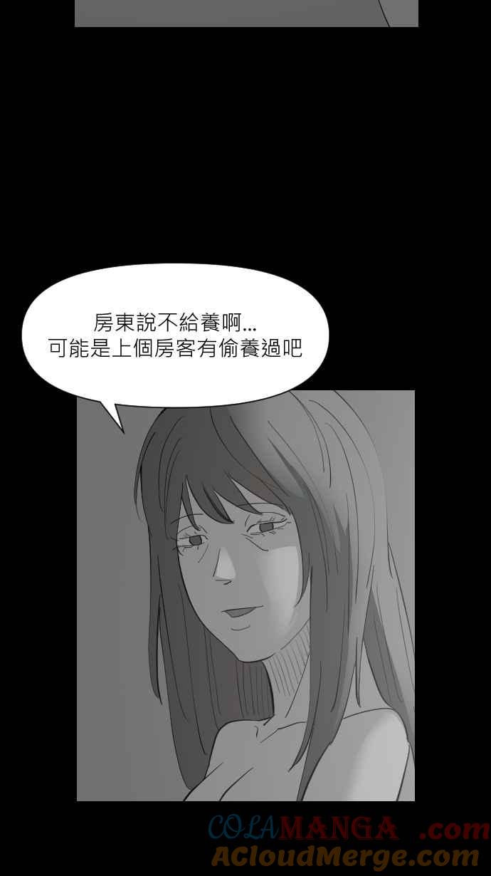 黑盒子 [第321话] 亡牌(2) 第20页